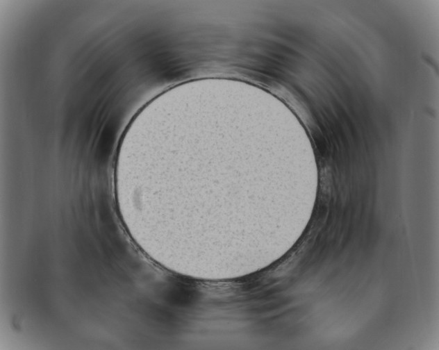 X0000091011150200708241506