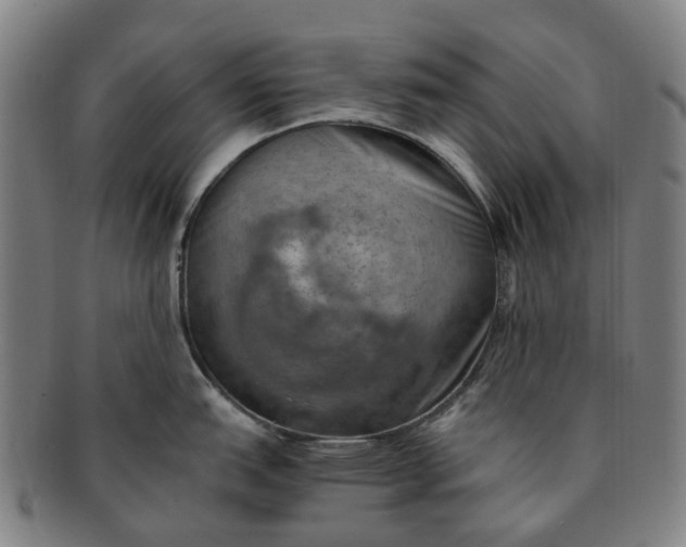 X0000091011151200708241506