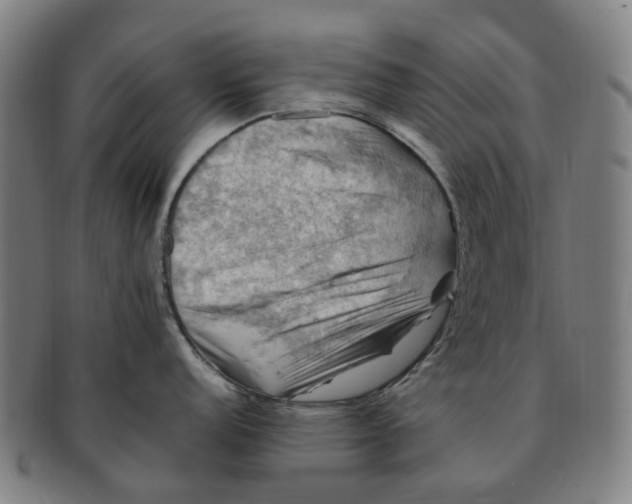 X0000091011152200708241506