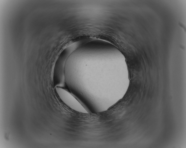 X0000091011153200708241506