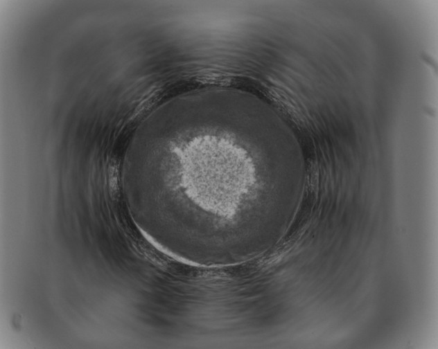 X0000091011154200708241506