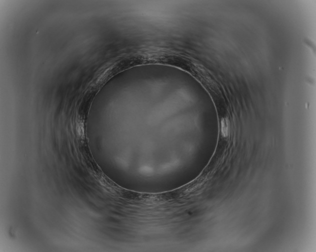 X0000091011155200708241506