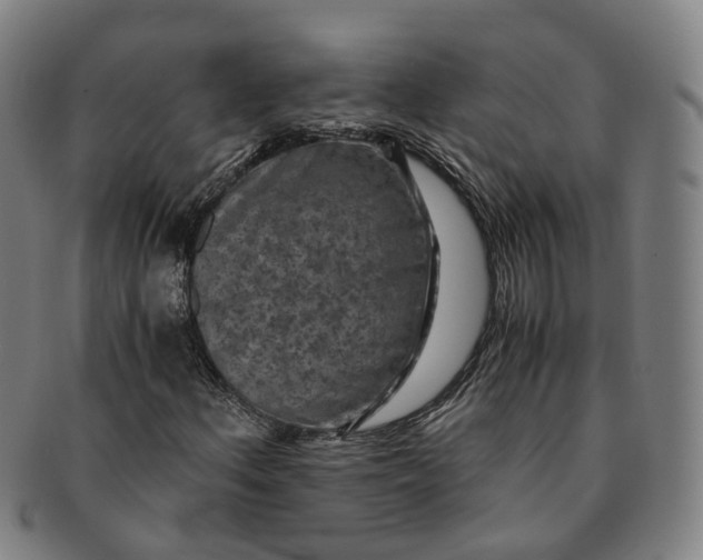 X0000091011156200708241506