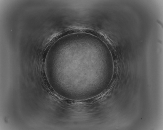 X0000091011157200708241506