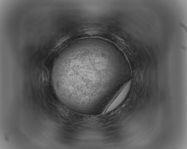 X0000091011158200708241506