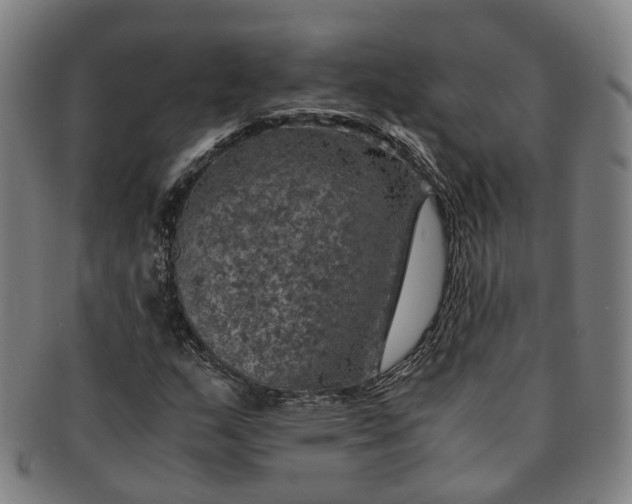 X0000091011159200708241506