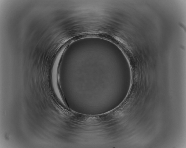 X0000091011161200708241506