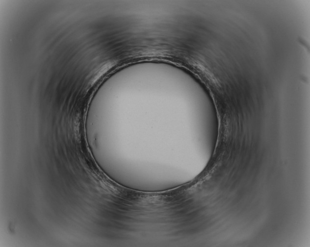 X0000091011162200708241506