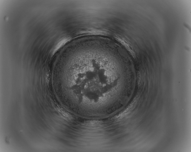 X0000091011163200708241505