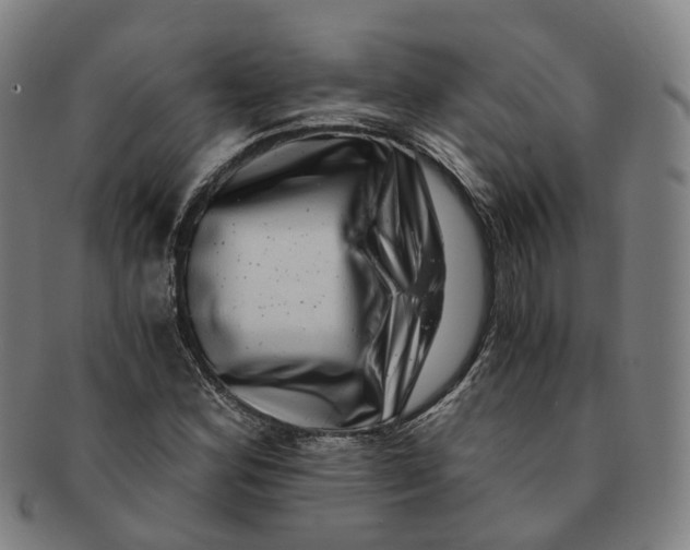 X0000091011164200708241505