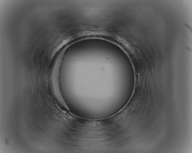 X0000091011165200708241505