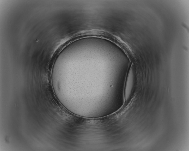 X0000091011166200708241505