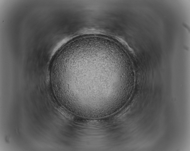 X0000091011167200708241505