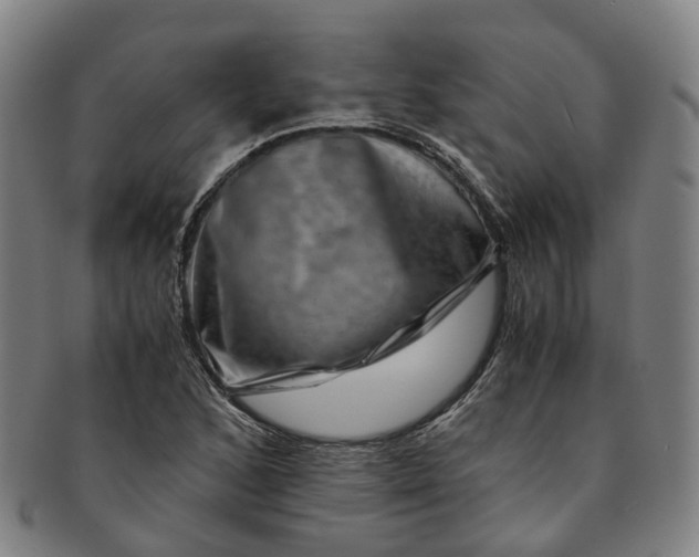 X0000091011168200708241505