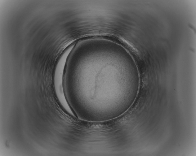 X0000091011169200708241505