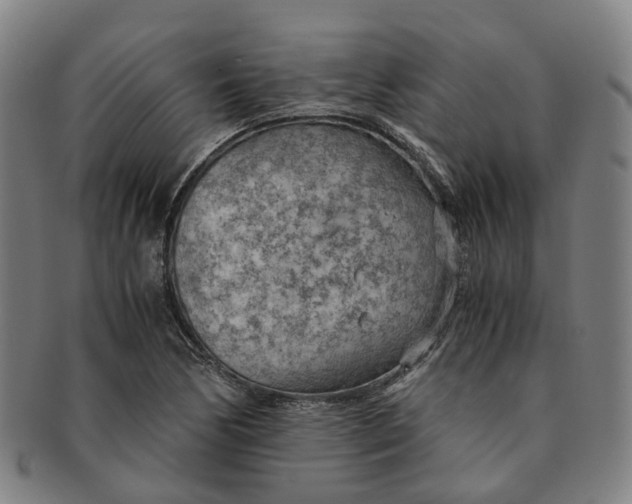 X0000091011170200708241505