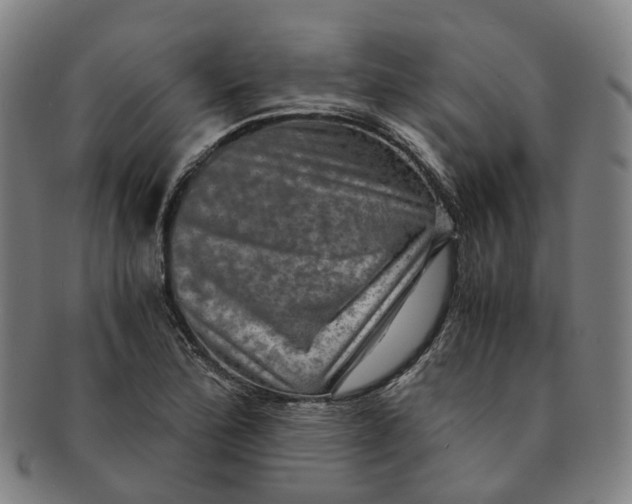 X0000091011172200708241505