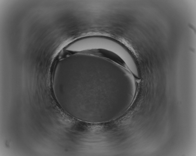 X0000091011173200708241505