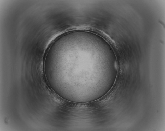 X0000091011174200708241505