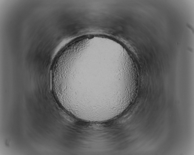 X0000091011175200708241505