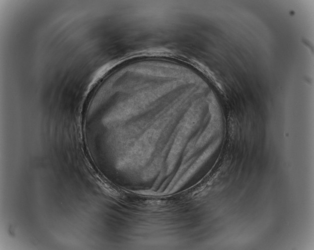 X0000091011176200708241505