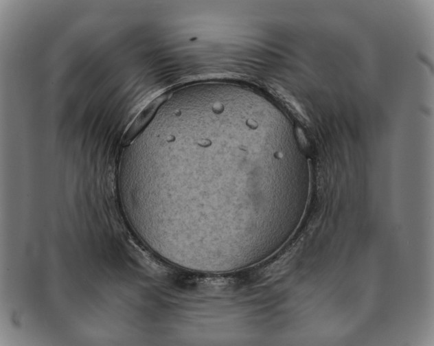 X0000091011177200708241505