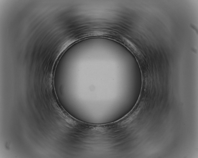 X0000091011178200708241505