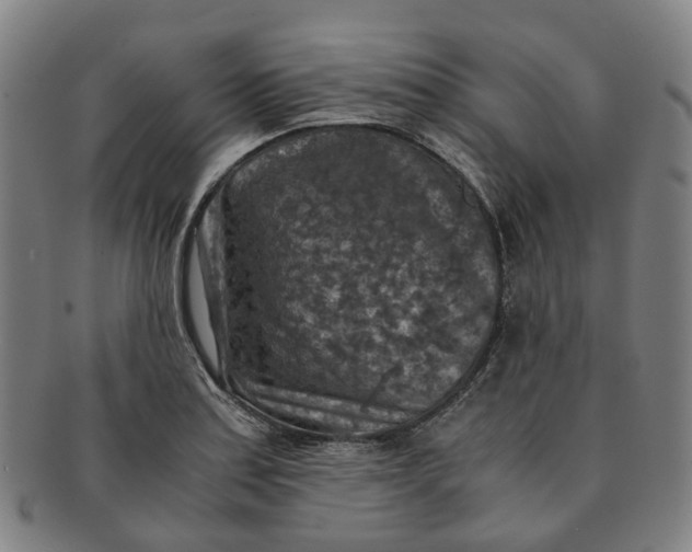 X0000091011179200708241505