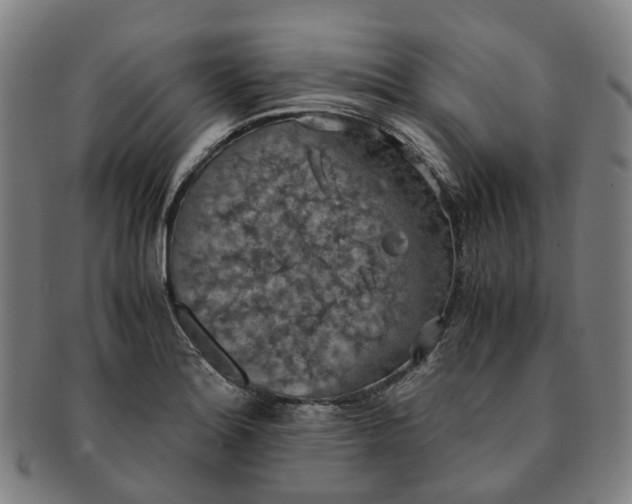 X0000091011180200708241505