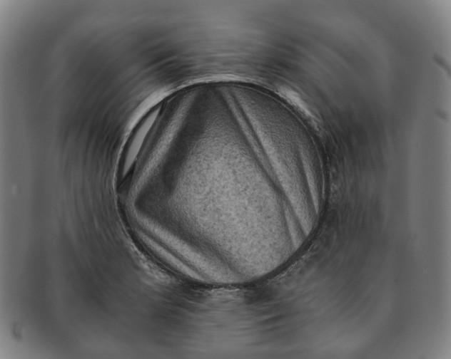 X0000091011181200708241505