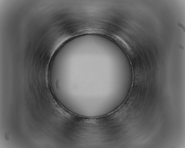 X0000091011182200708241505