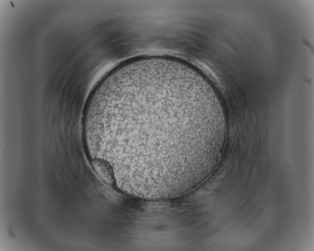 X0000091011183200708241505