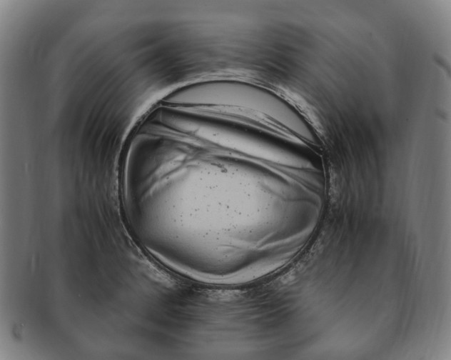 X0000091011184200708241505