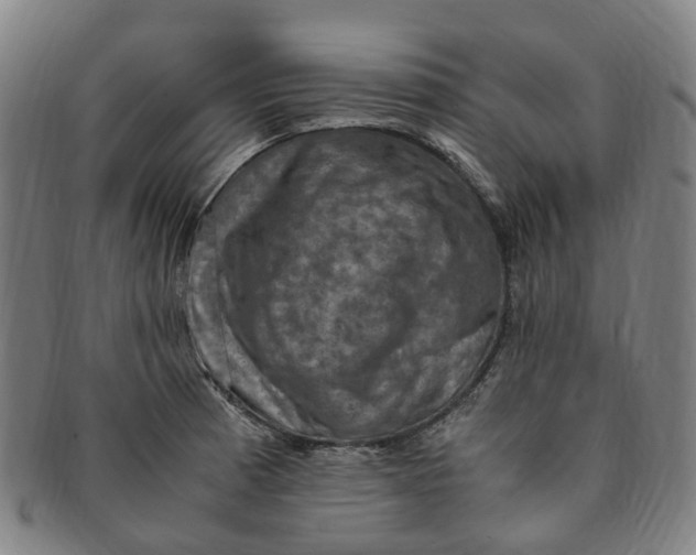 X0000091011185200708241505