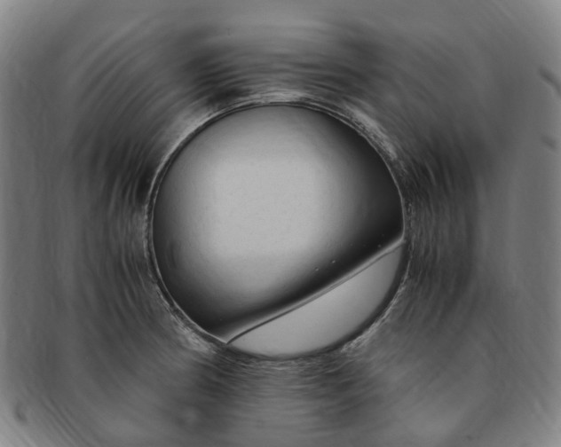 X0000091011186200708241505