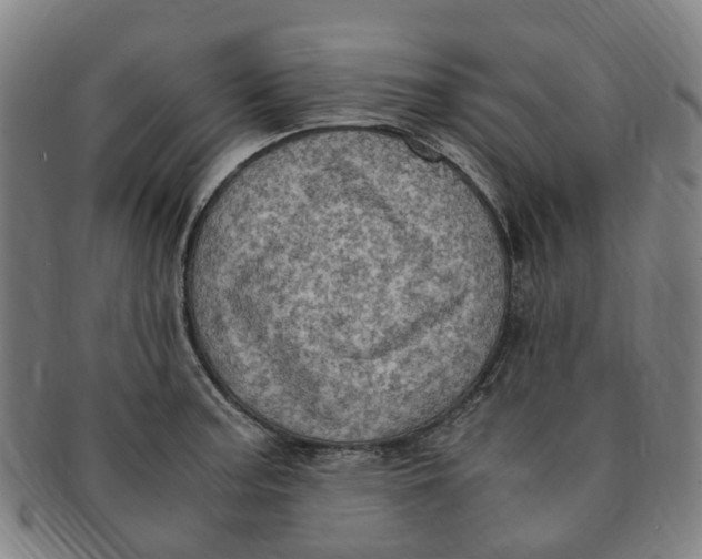 X0000091011187200708241505