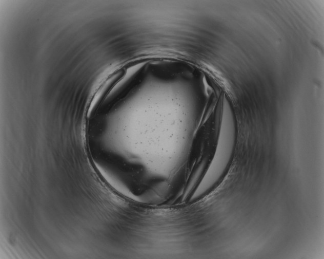 X0000091011188200708241505