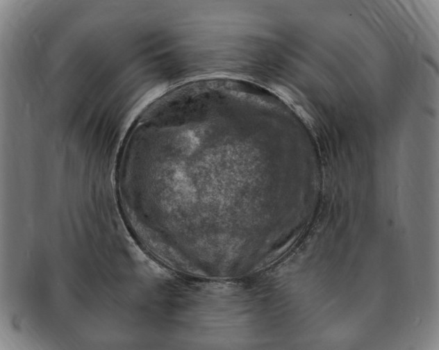 X0000091011189200708241505