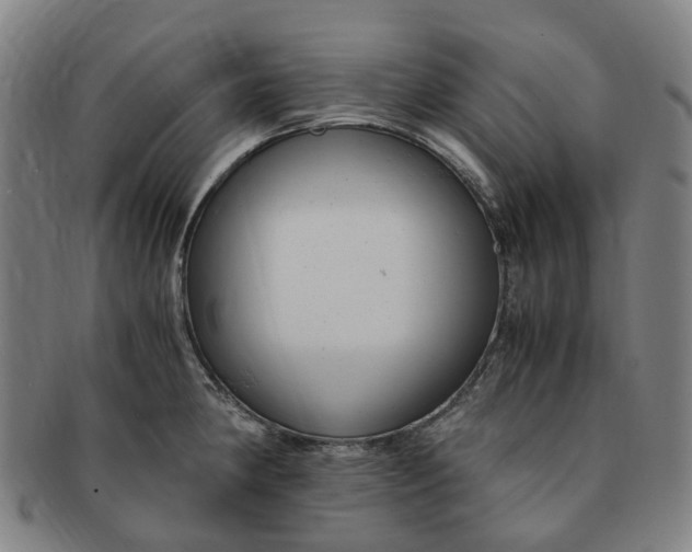 X0000091011190200708241505