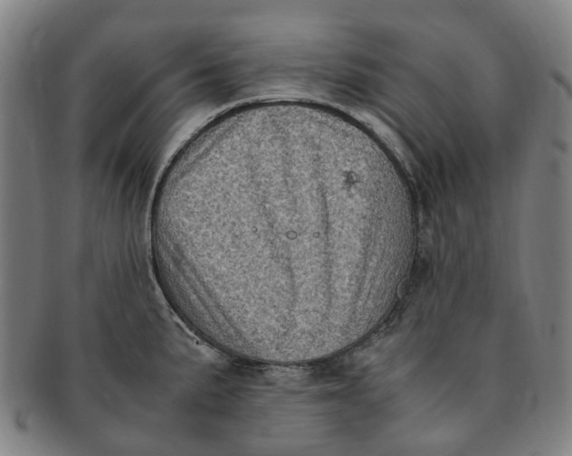 X0000091011191200708241505