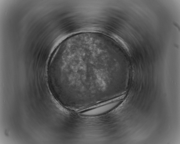 X0000091011192200708241505