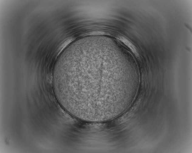 X0000091011193200708241505