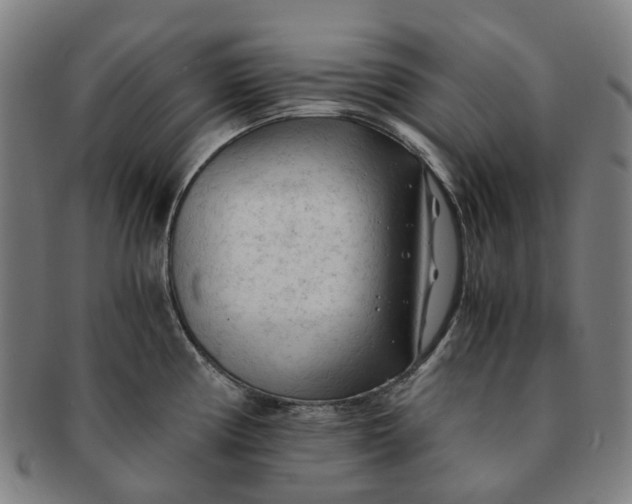 X0000091011194200708241505