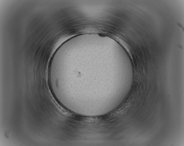 X0000091011195200708241505