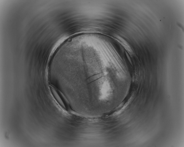 X0000091011196200708241505