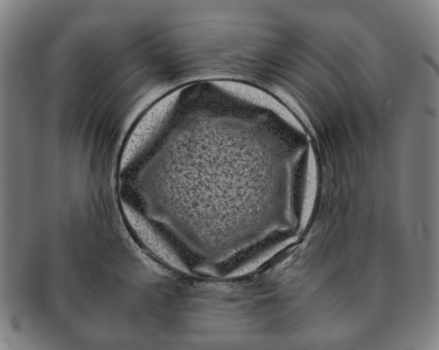 X0000091011197200708241505