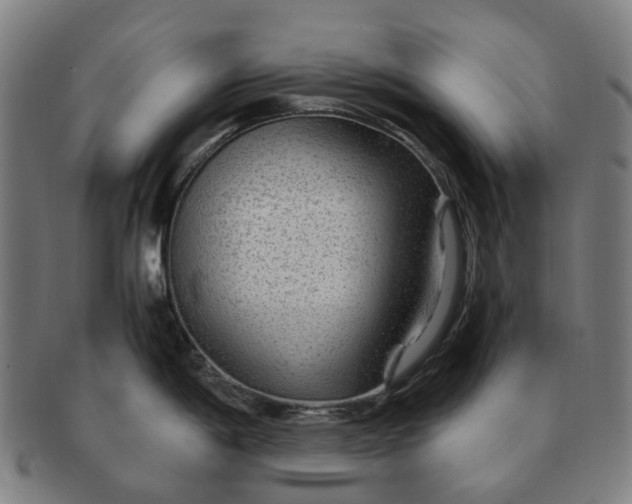 X0000091011198200708241505