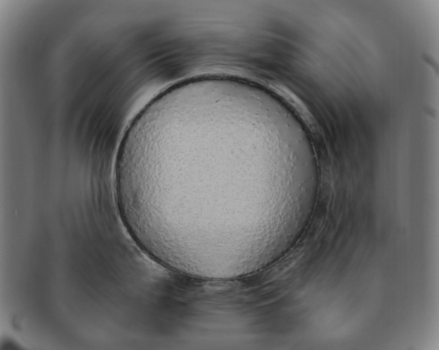 X0000091011199200708241505