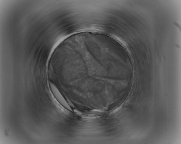 X0000091011200200708241505