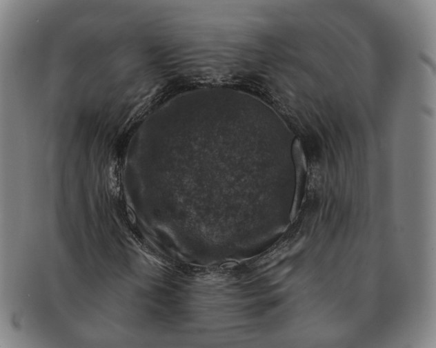 X0000091011202200708241504